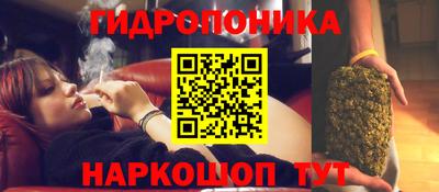 Альфа ПВП Дубна