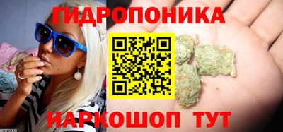 Альфа ПВП Дубна