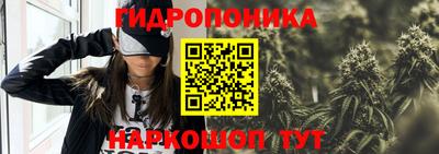 Альфа ПВП Дубна